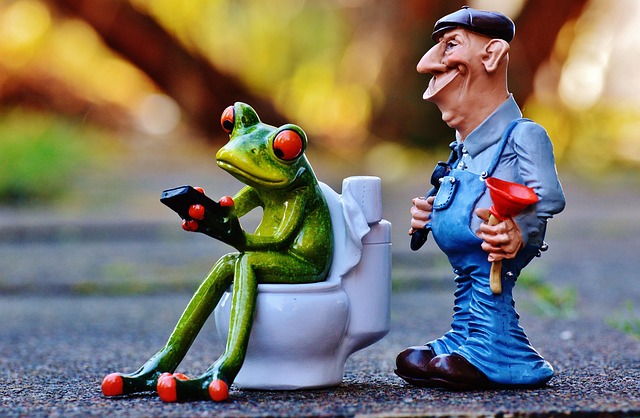 Plumber, plumbing
