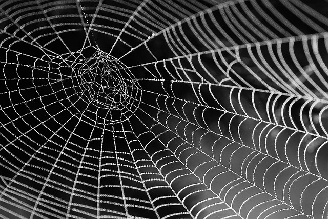 pennsylvania web design