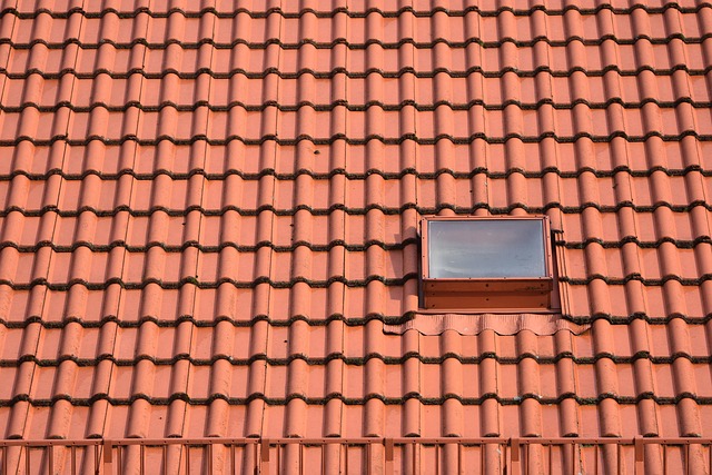 pvc pipe repair