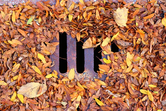 affordable sewer service