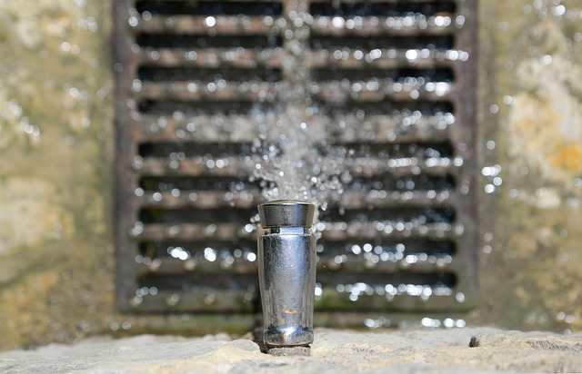 farragut plumbing