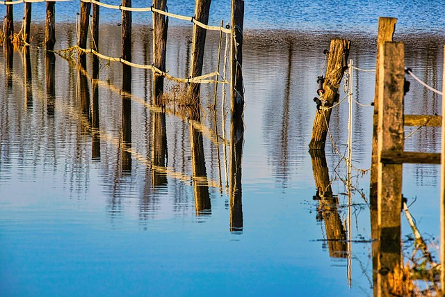 flood cleanup plumbing