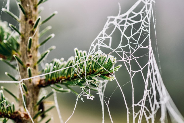 frozen pipe thawing