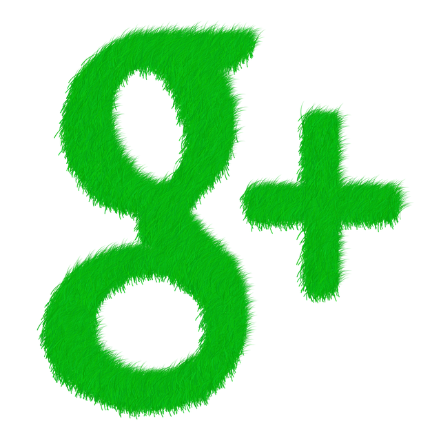 google ads services