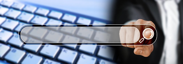 paid search services