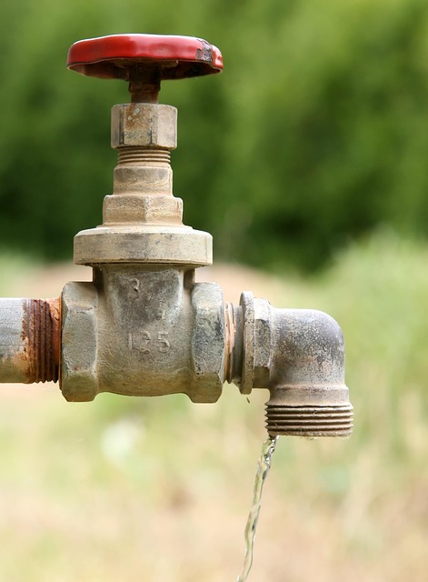 reliable plumbing