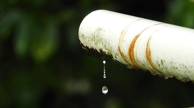 seattle leak detection