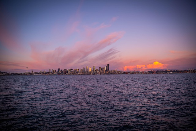 seattle leak detection