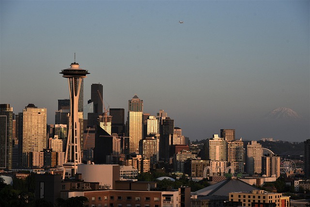 seattle leak detection