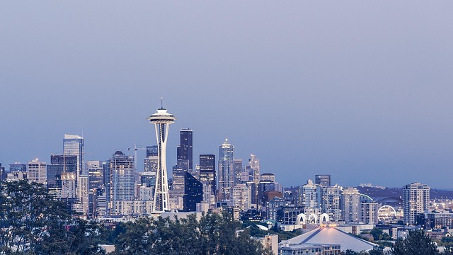 seattle leak detection
