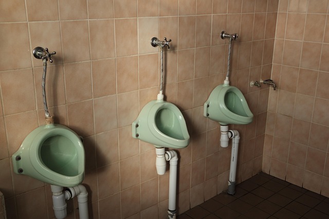 toilet brands