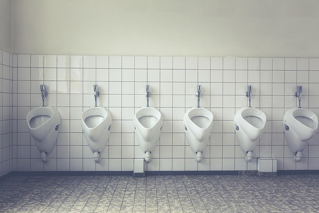 toilet replacement