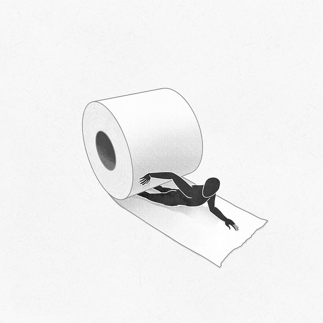 toilet replacement