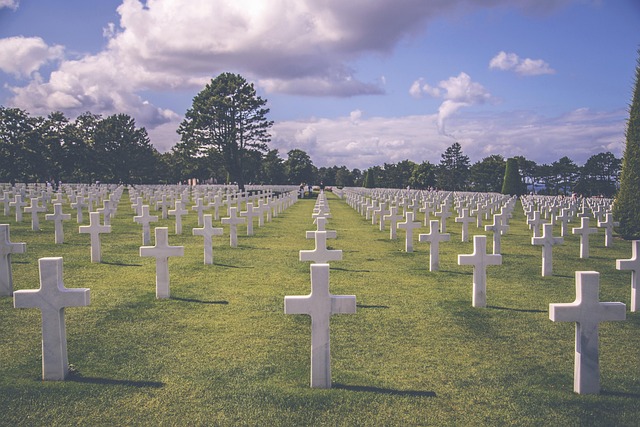 veteran owned plumbing
