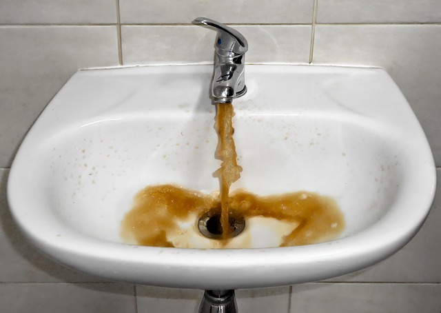 yelp reviewed plumbers