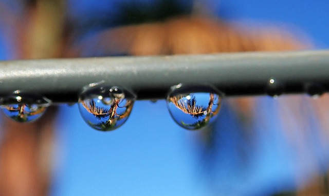 appliance water line
