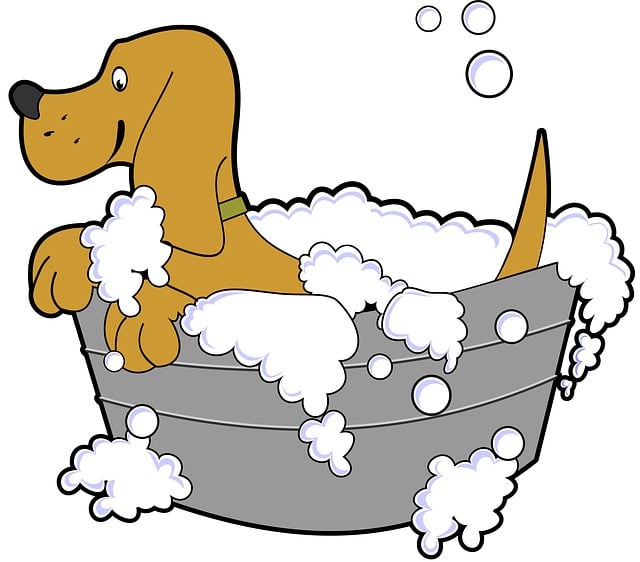 bath seo services