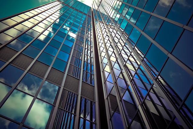 citation building services