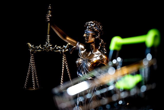 custody attorney services