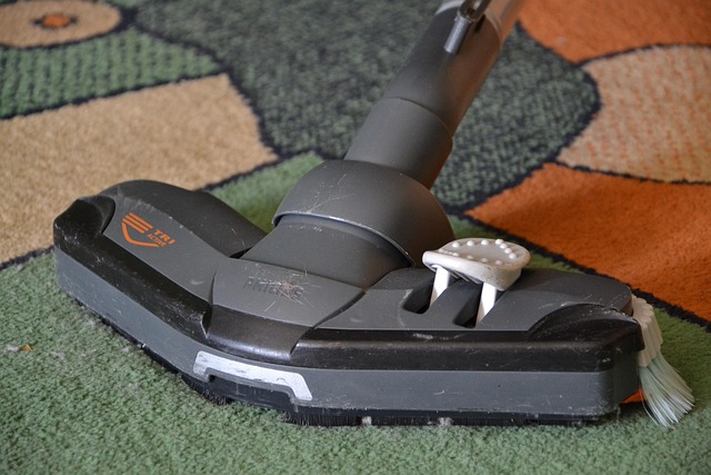 drain cleaning cost