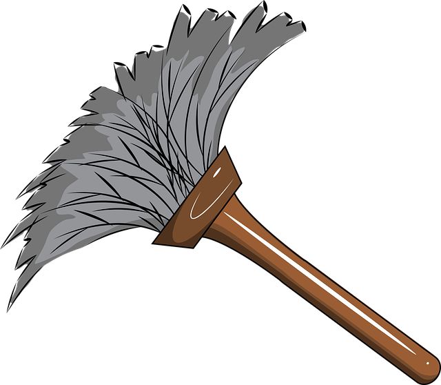 drain cleaning tools