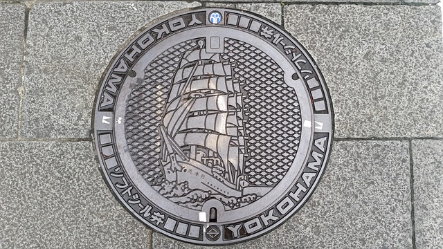 drain inspection