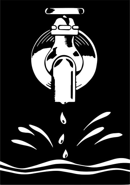 farragut plumbing