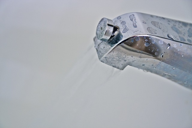 fremont plumbing