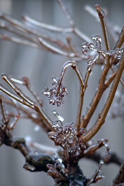 frozen pipe thawing
