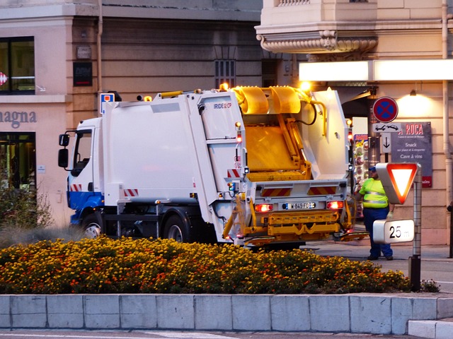 garbage disposal motor
