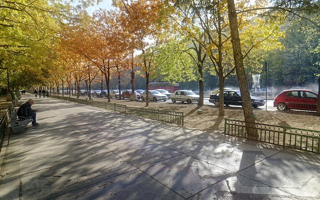landscape paving