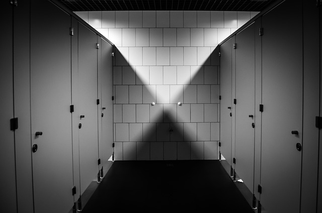 low flow toilet