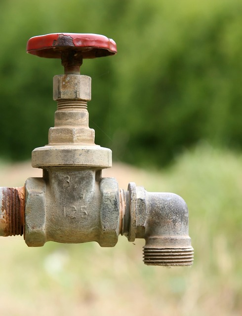 marlborough plumber