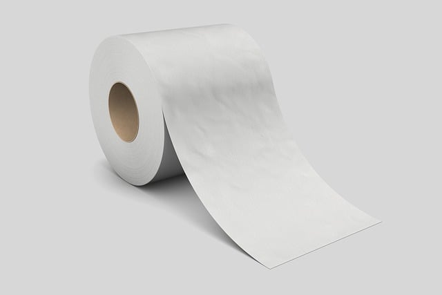 old toilet replacement