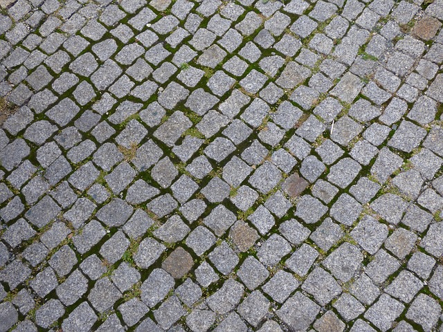 paver stone contractors