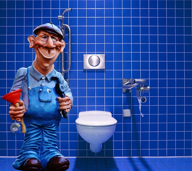 plumber seattle