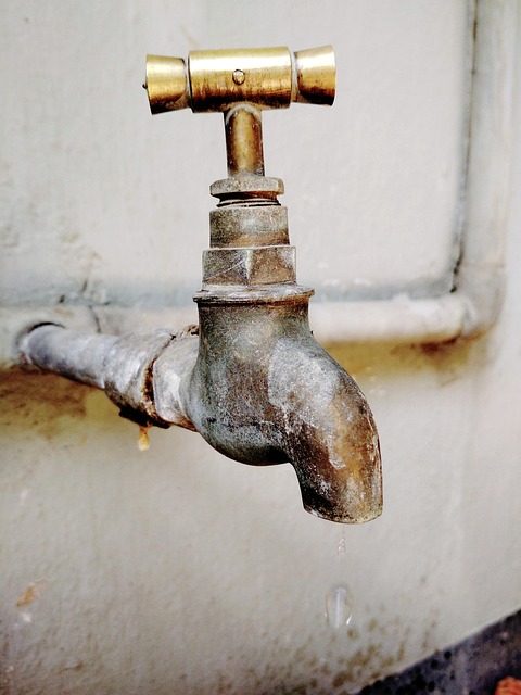 plumbing experts