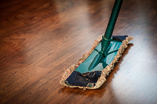 seattle drain cleaning
