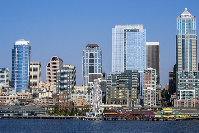 seattle emergency plumber