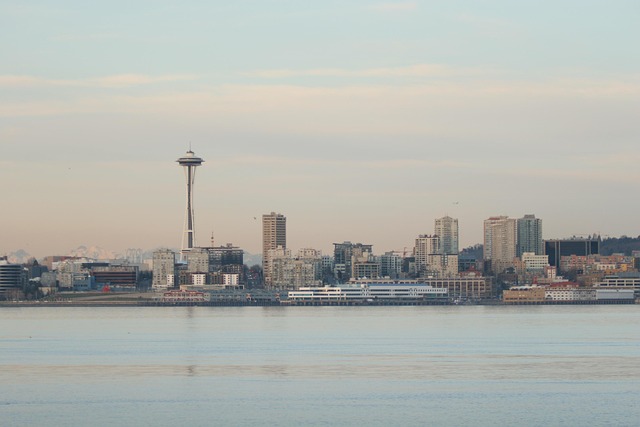 seattle plumbing
