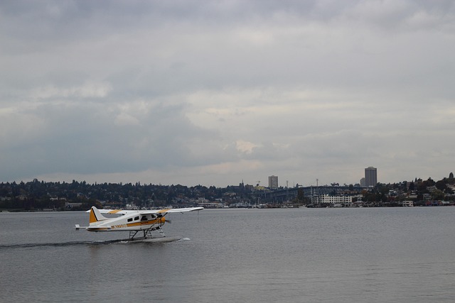 seattle plumbing