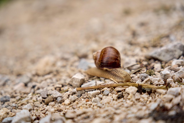 slow drain