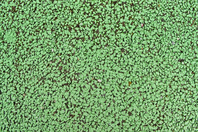 tar and chip contractors