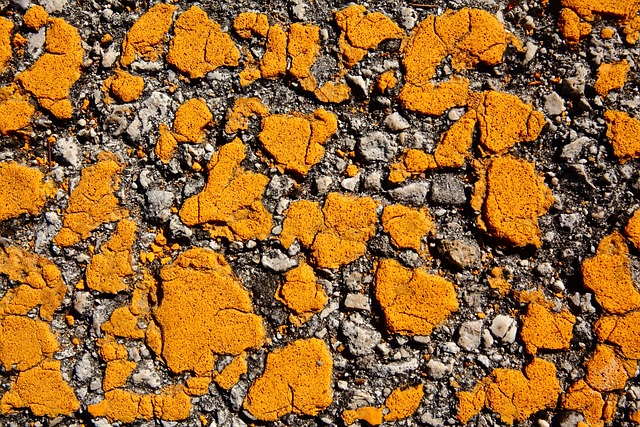 tar chip driveway installation