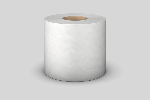 toilet installation