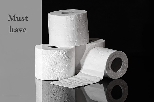 toilet service