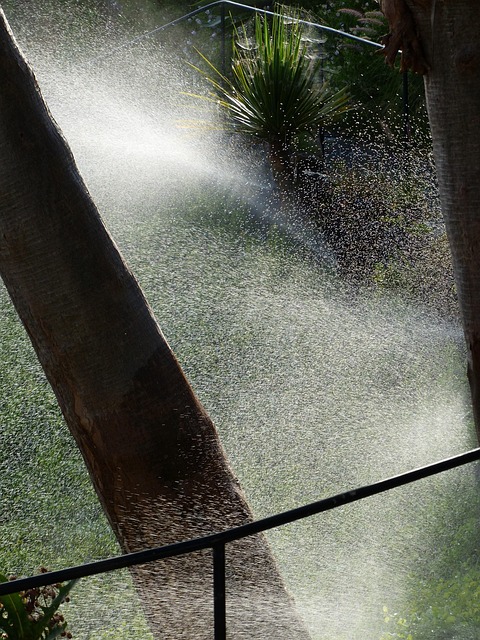 water filtration system