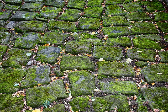 decorative paving