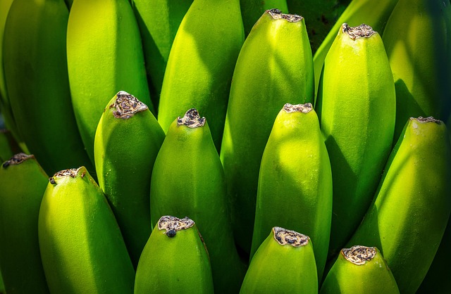 divorce attorney group