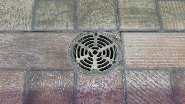 drain augering